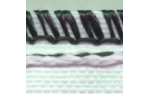 Stitch Sample